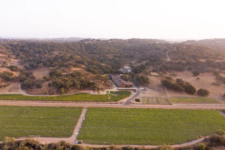 Zaca Mesa Winery, a dog-friendly restaurant in Los Olivos, California