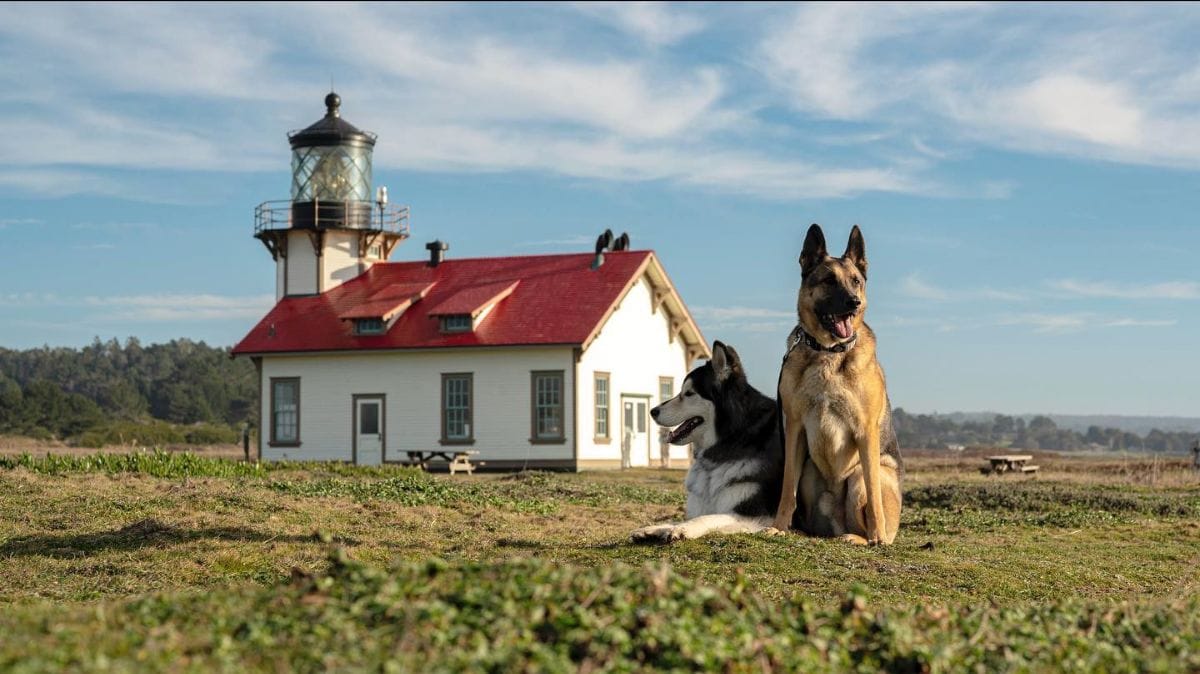 Best of Mendocino