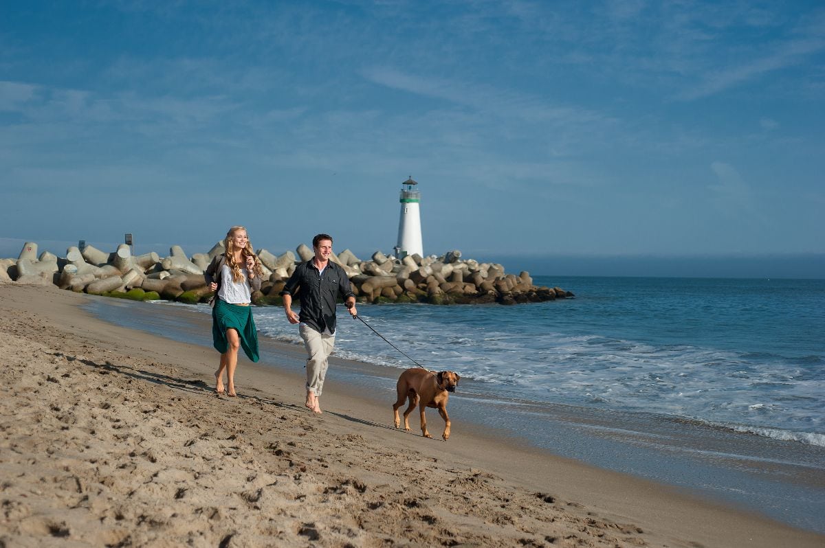 Running on beach with dog