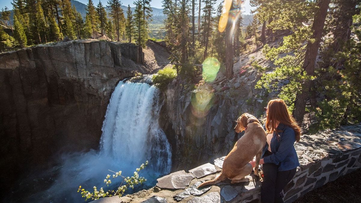 Woman and dog and waterfall.