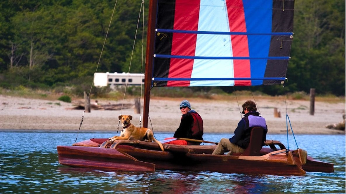 Dog sailing on the Big River
