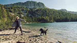 Big mountains, big fun at dog-friendly Mammoth