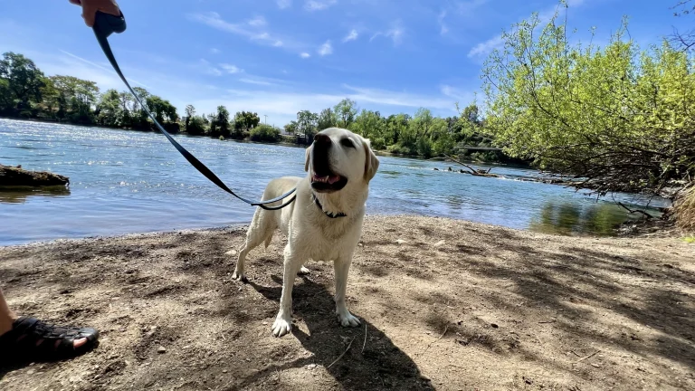 Sacramento River