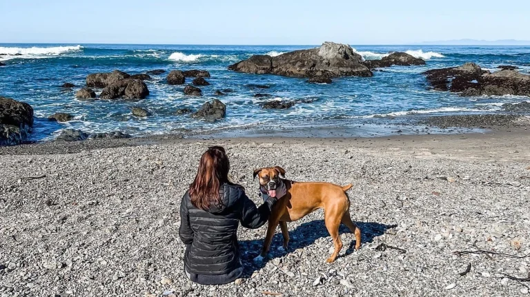 Dog-friendly California destination, photo courtesy of Samantha Georges