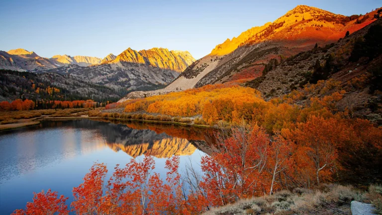 Fall color in the the Eastern Sierra.