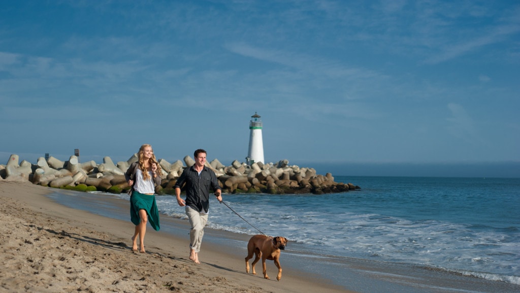 Dog and people running on the beach in Santa Cruz