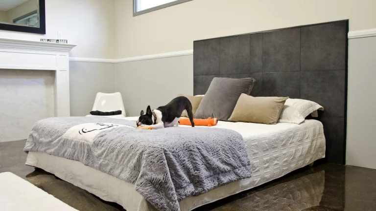 Wag Hotels – Hollywood