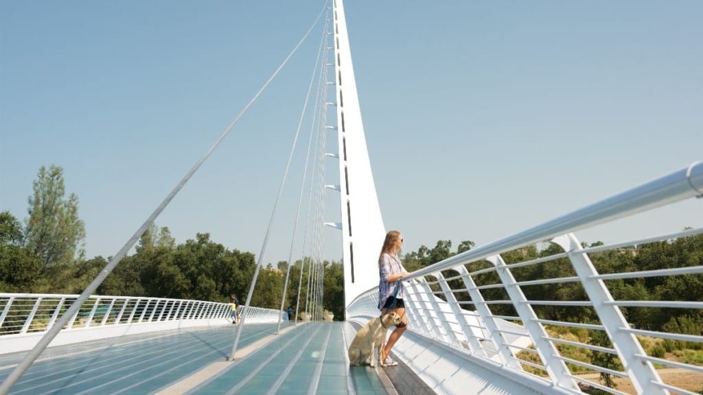 Woman and dog on bridge