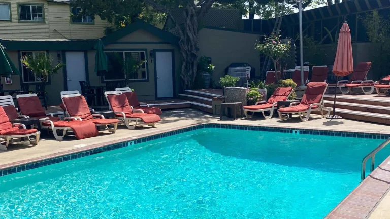 R3 Hotel, a dog-friendly restaurant in Guerneville, California