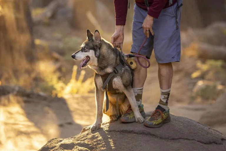 Autumn is the perfect time to visit Yosemite National Park.