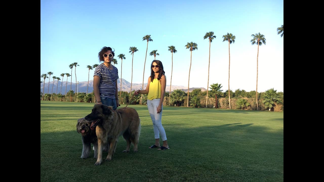 Dog and people in Palm Springs