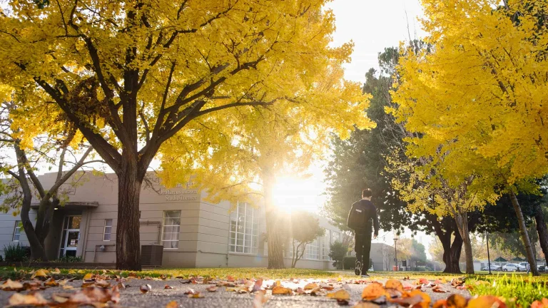 University of the Pacific, a dog-friendly park in Stockton, California