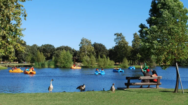 Oak Grove Regional Park, a dog-friendly hiking trail in Stockton, California