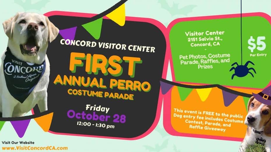 First Annual Perro Costume Contest banner