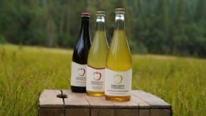 3 bottles of cider sit on wooden crate in grassy field