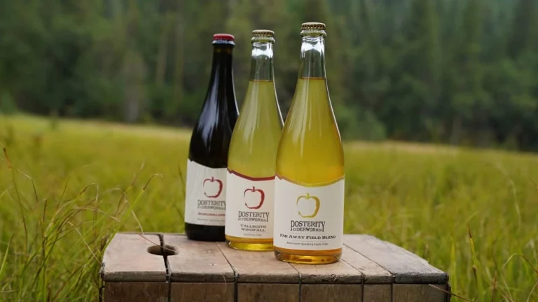 Posterity Ciderworks, a dog-friendly bar in Mokelumne Hill, California