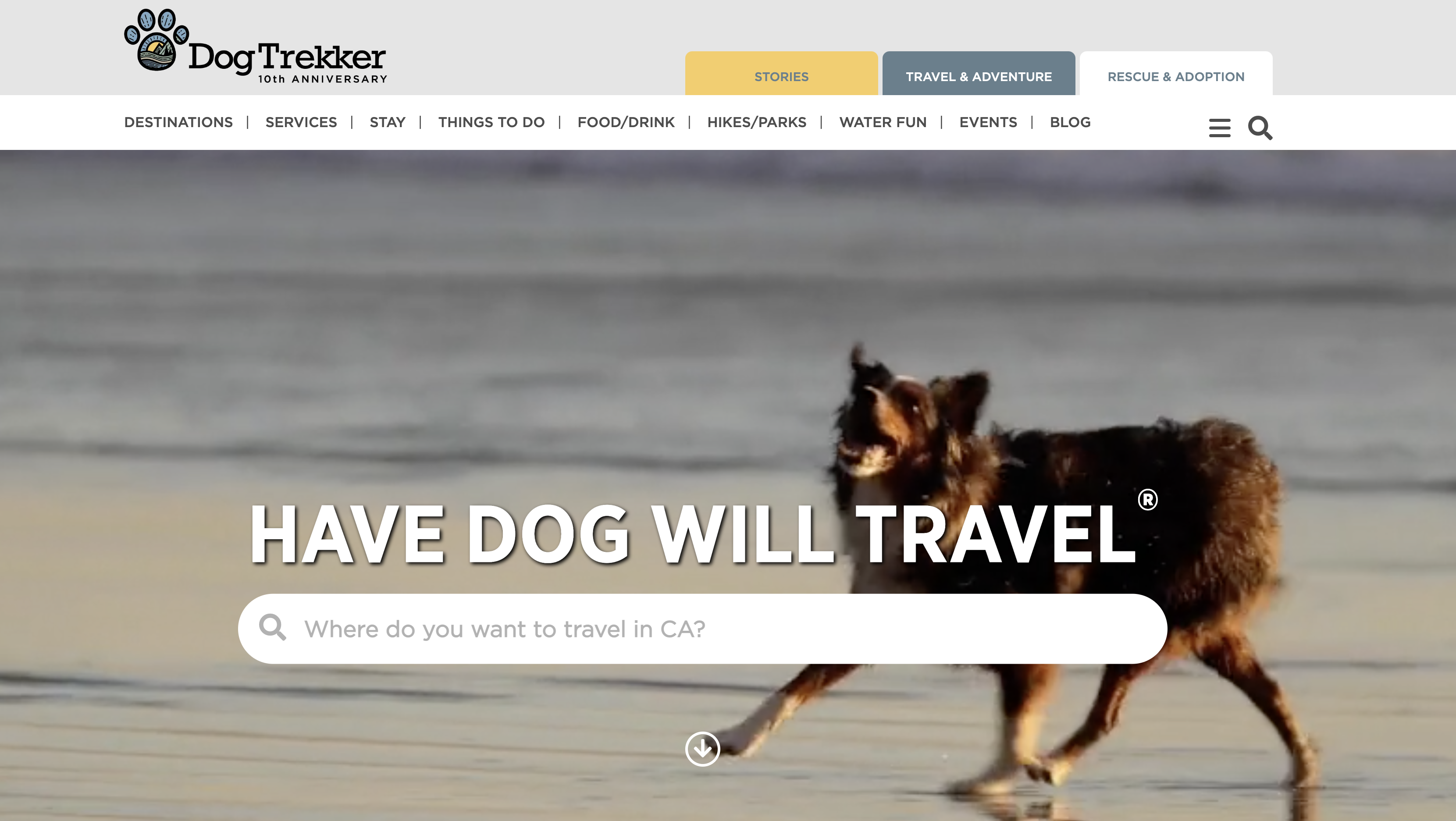 DogTrekker.com website with search bar