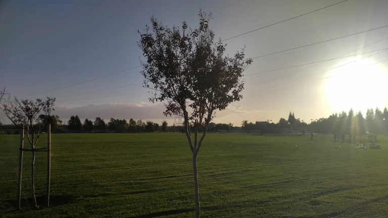 Michael Faklis Park