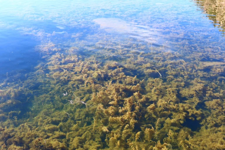 Twin Lakes