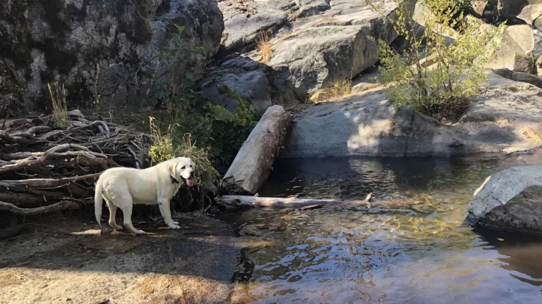 Lewis Creek Trail