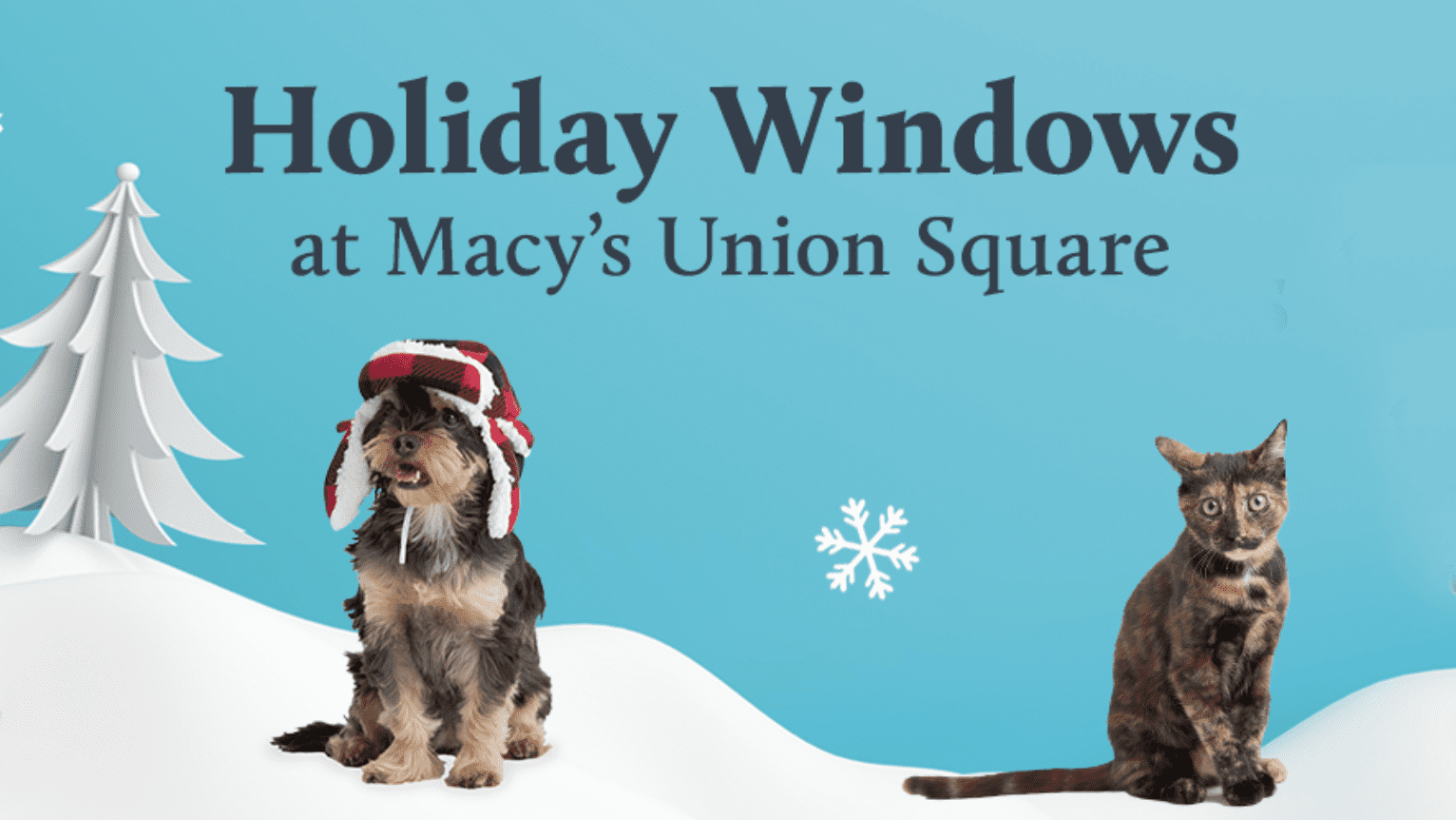 San Francisco SPCA Holiday Windows at Macy’s DogTrekker