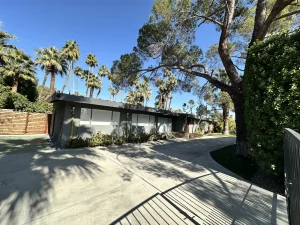 14 dog-friendly vacation rentals in Greater Palm Springs