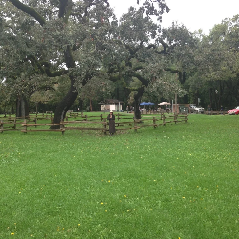 Doyle Community Dog Park, a dog-friendly dog park in Santa Rosa, California