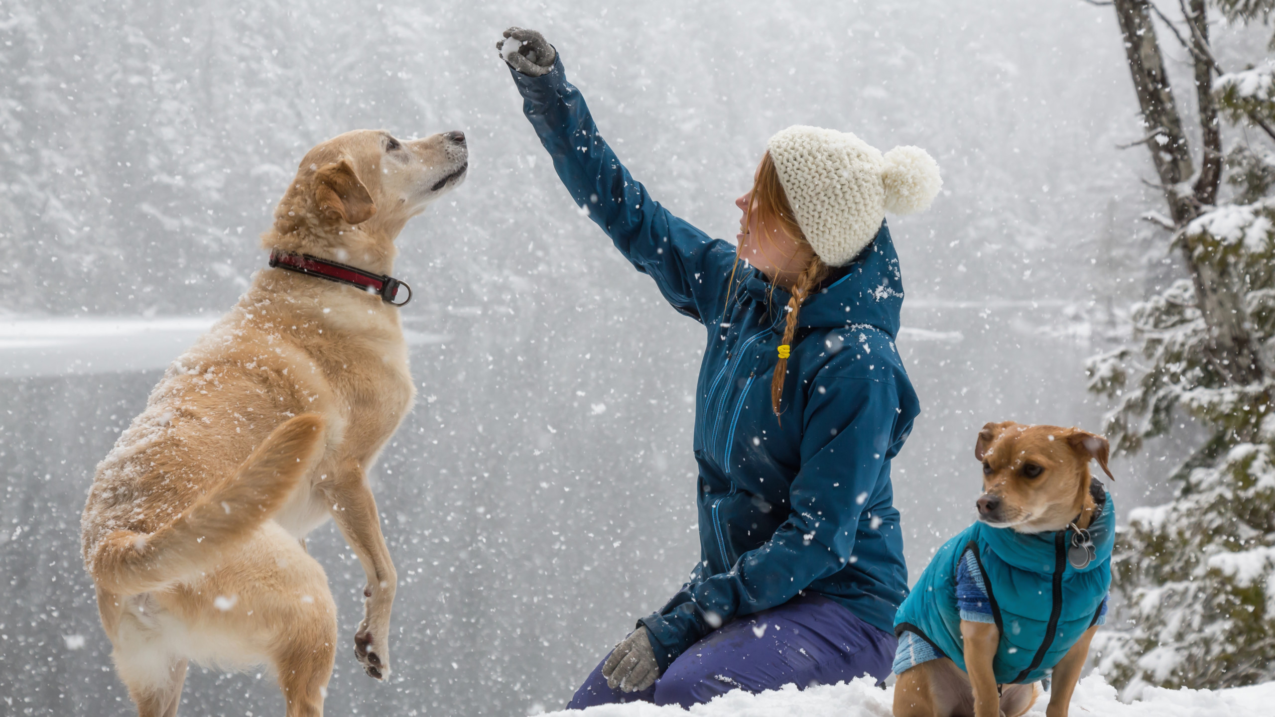 Girl playing with her dog in the snow.