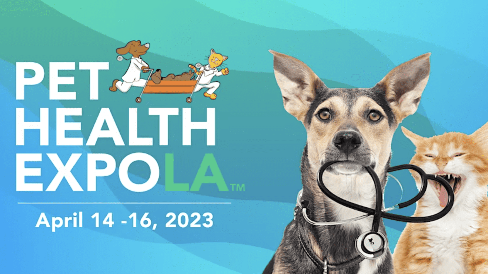 pet health expo banner
