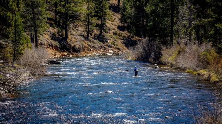 Fly fishing the Truckee river near the Trout Creek trail in Lake Tahoe.