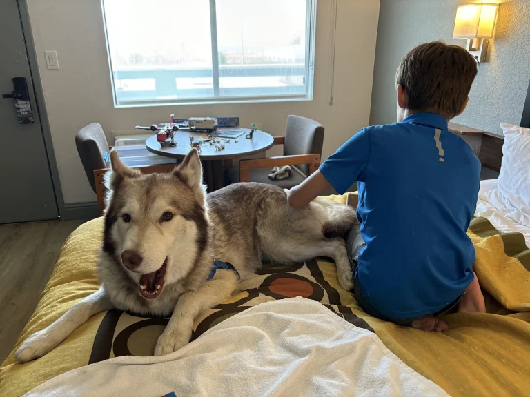 Borrow a Buddy