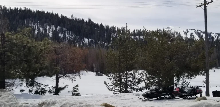 Coyote SNO-Park