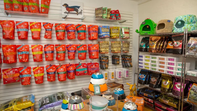 PoshPetCare, a dog-friendly pet supply store in Palm Springs, California