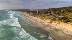 An aerial shot shows waves breaking on the sandy shore of a dog-friendly beach in San Diego. People and their dogs populate the coastline. The right side features green spaces and residential buildings, while a hillside covered in dense foliage rises in the background.