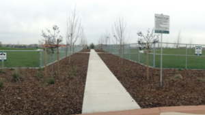 paved path between 2 fenced dog park areas