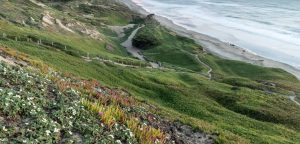 Green hills dotted with wildflowers and dense vegetation frame the coastal landscape. Paths wind down to a sandy California beach where ocean waves break softly on the shore. Sections of the walkway are bordered by wooden fences, adding to the appeal for visitors seeking dog-friendly activities.