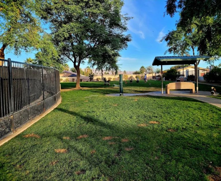 Station 87 Dog Park