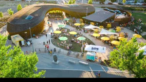 Overhead view of The Barn’s outdoor market shows visitors walking with dogs between rows of vendor tents and tables shaded by yellow umbrellas. A modern, curved building anchors one side of the space. Trees border the market, and parked cars fill the nearby lot.