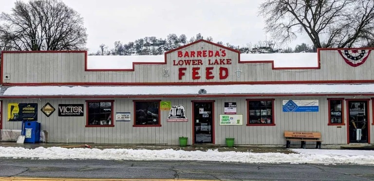 Barreda’s Lower Lake Feed, a dog-friendly pet supply store in Lower Lake, California