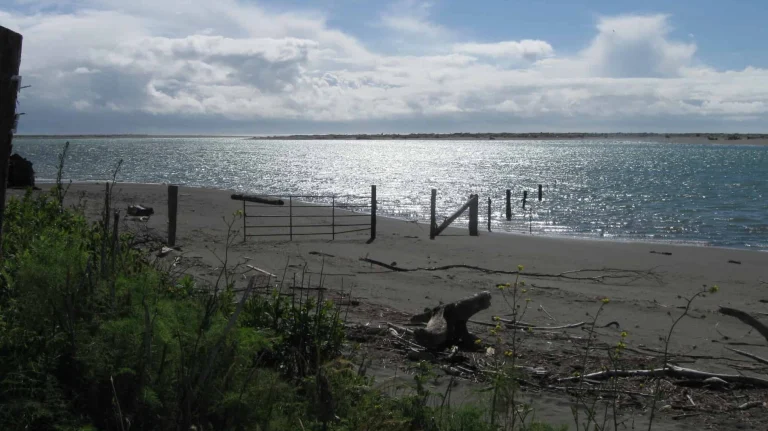 Crab County Park beach, a dog-friendly beach in Ferndale, California
