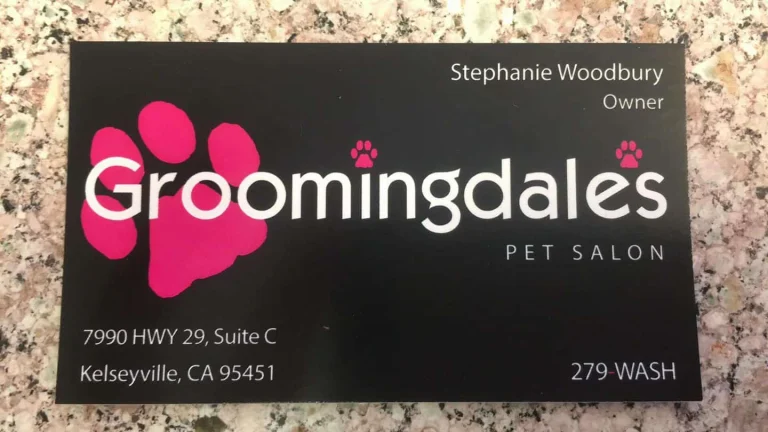 Groomingdale's Pet Salon, a dog-friendly dog grooming salon in Kelseyville, California