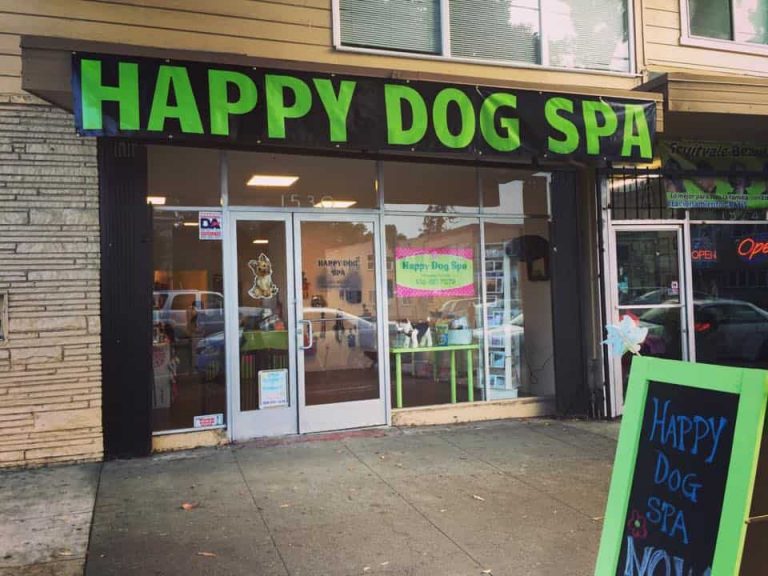 A vibrant dog park bathed in sunlight features abundant greenery with mature trees, offering ample shade for leisurely outdoor activities. In the distance is a well-equipped playground that presents an additional activity area. An inviting picnic table spreads out nearby, ideal for enjoying meals al fresco or taking relaxing breaks from play. A neatly-placed trash bin aids in maintaining the park's cleanliness for everyone's enjoyment. Dominating the scene is a generously wide dirt path gracefully curving through the expanse of grass, promising exploratory walks and lively fetch games.