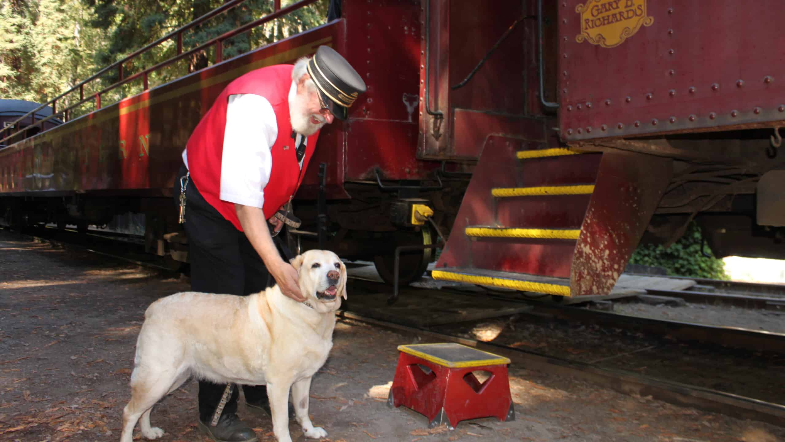 train conductor pets yellow lab