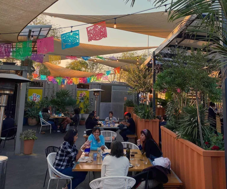 Nido's Backyard, a dog-friendly bar in Oakland, California