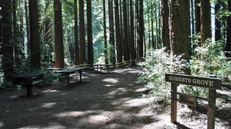 Roberts Regional, a dog-friendly park in Oakland, California