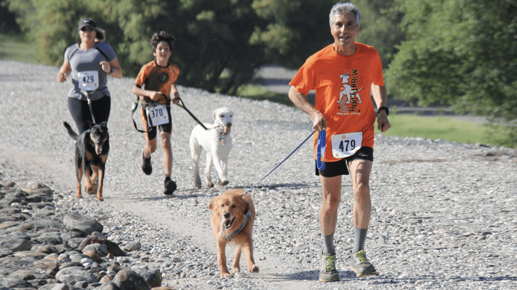 Runners with dogs on the race route