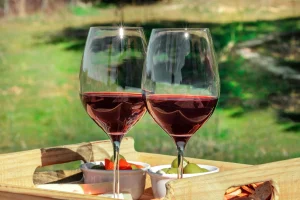 Sip & Support Sage Compassion for Animals