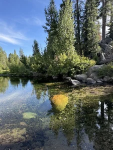 Ahart Campground