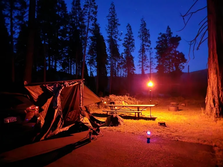 Big Meadows Campground, a dog-friendly campground in Georgetown, California