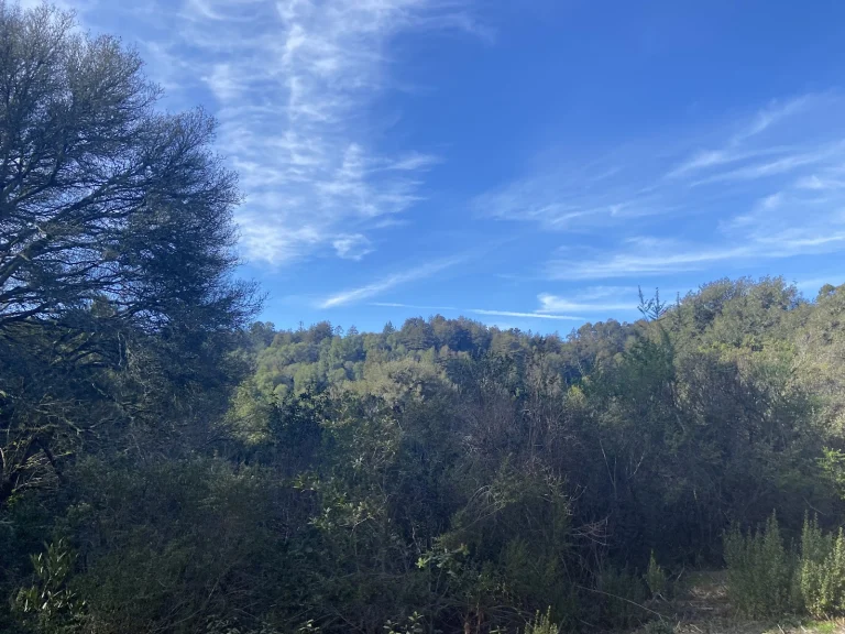 Dunn Trail Loop Google Places photo